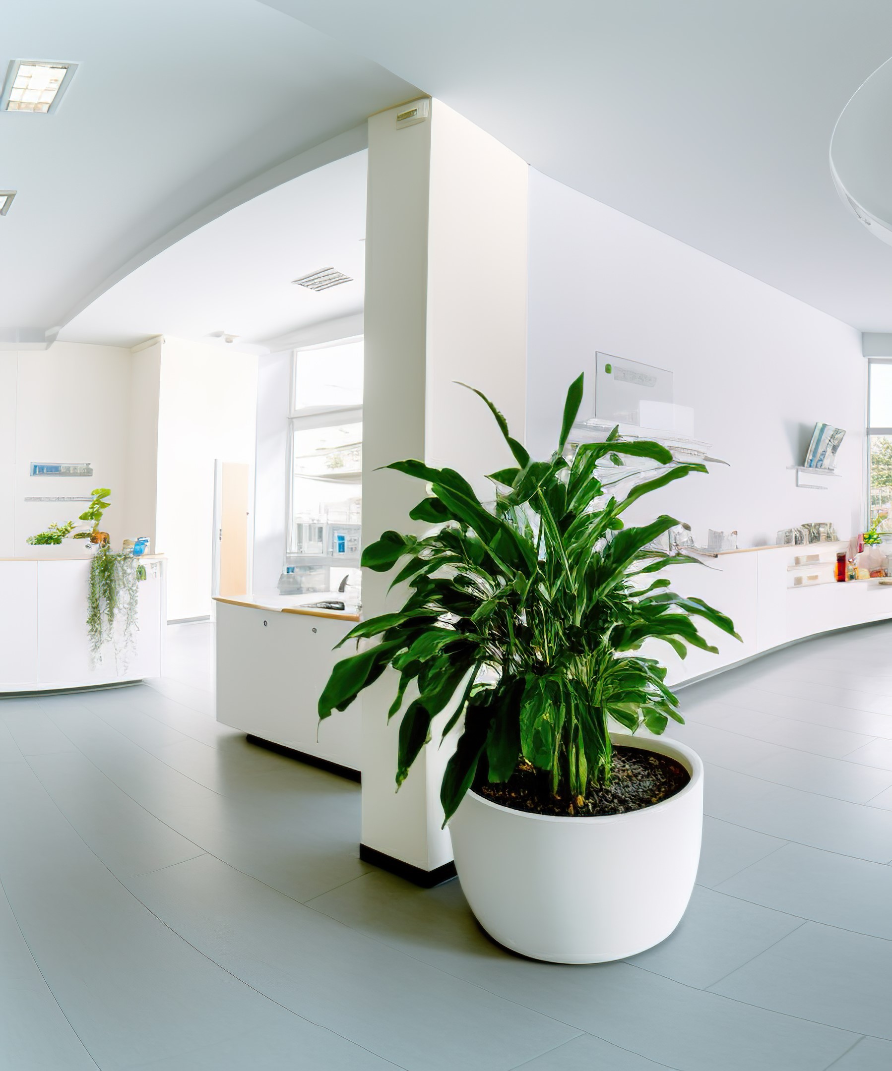 Commercial painters providing professional painting services for offices and businesses by Ridgecrest Painting Co.